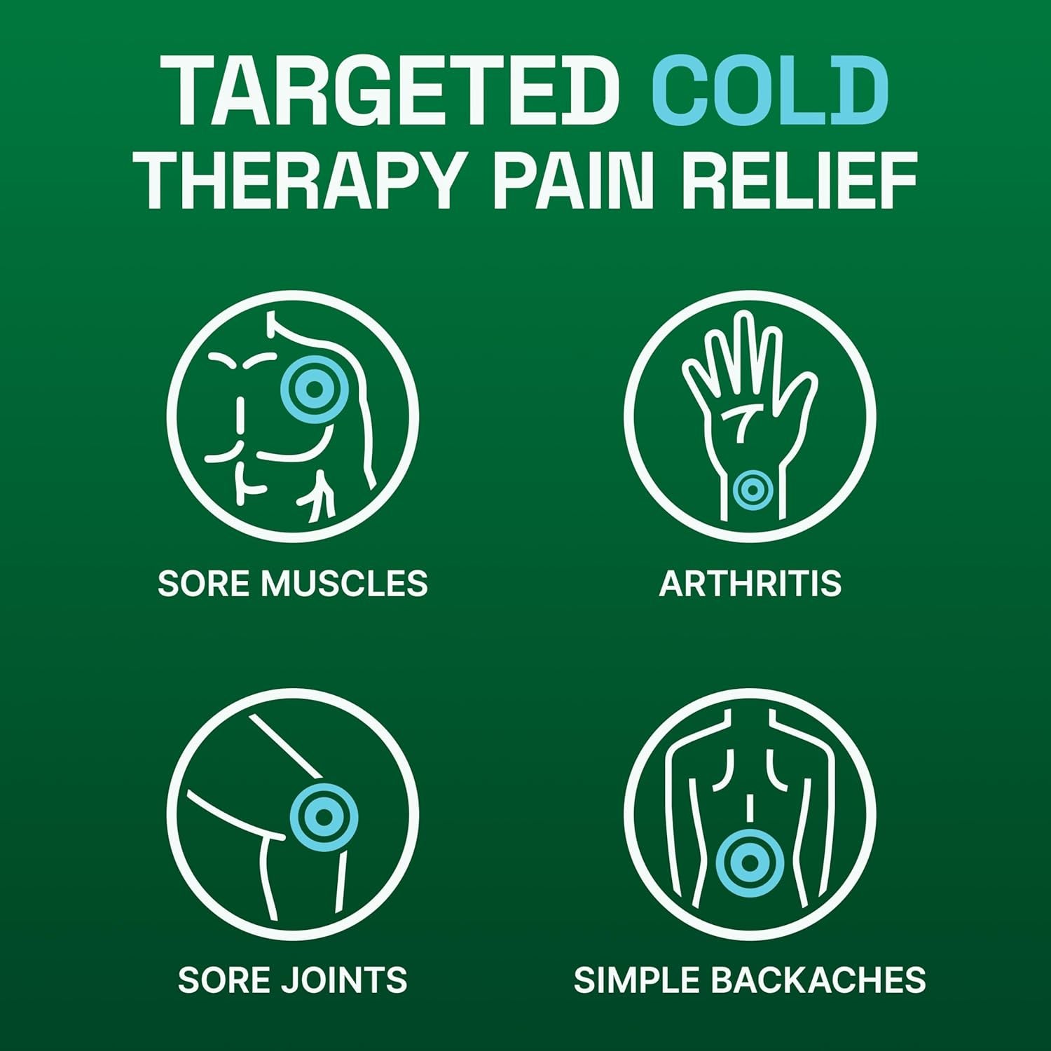 Pain Relief Patch, Large, 5 Patches